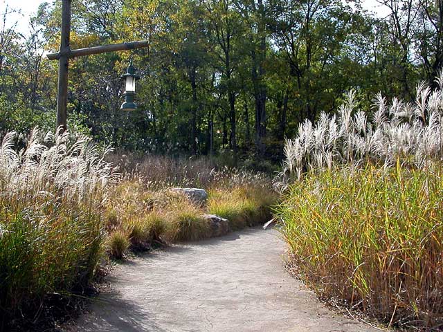 Existing trees were saved 