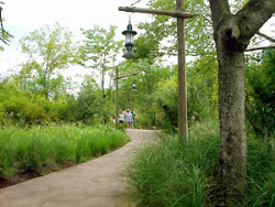 African Savanna - Nashville Zoo