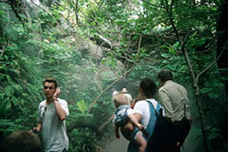 Bronx Zoo Fern Canyon After